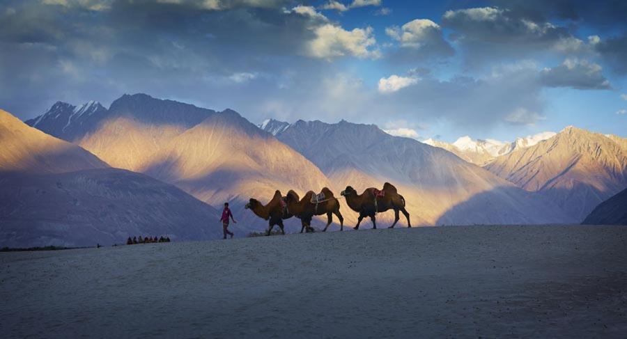 Chamba Camp Diskit Nubra Extérieur photo