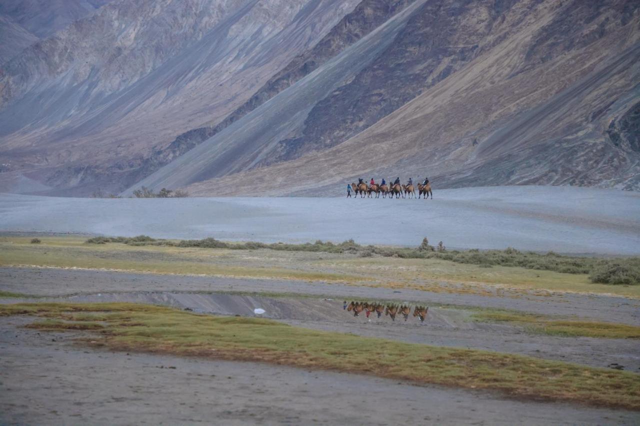 Chamba Camp Diskit Nubra Extérieur photo