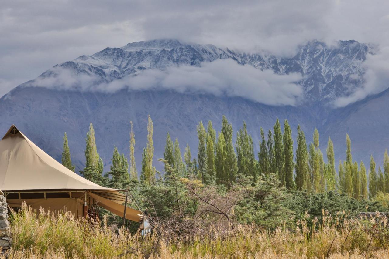 Chamba Camp Diskit Nubra Extérieur photo